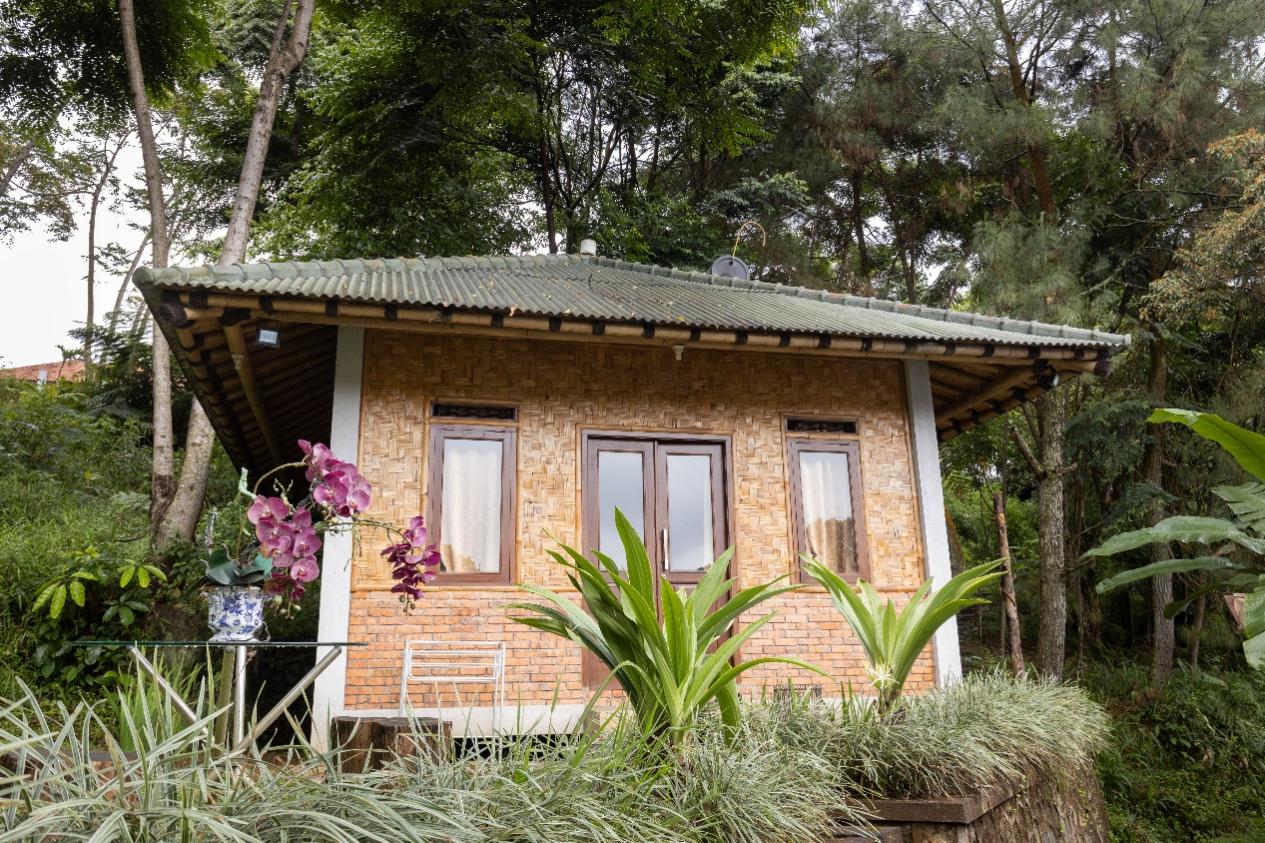 Saung Desa